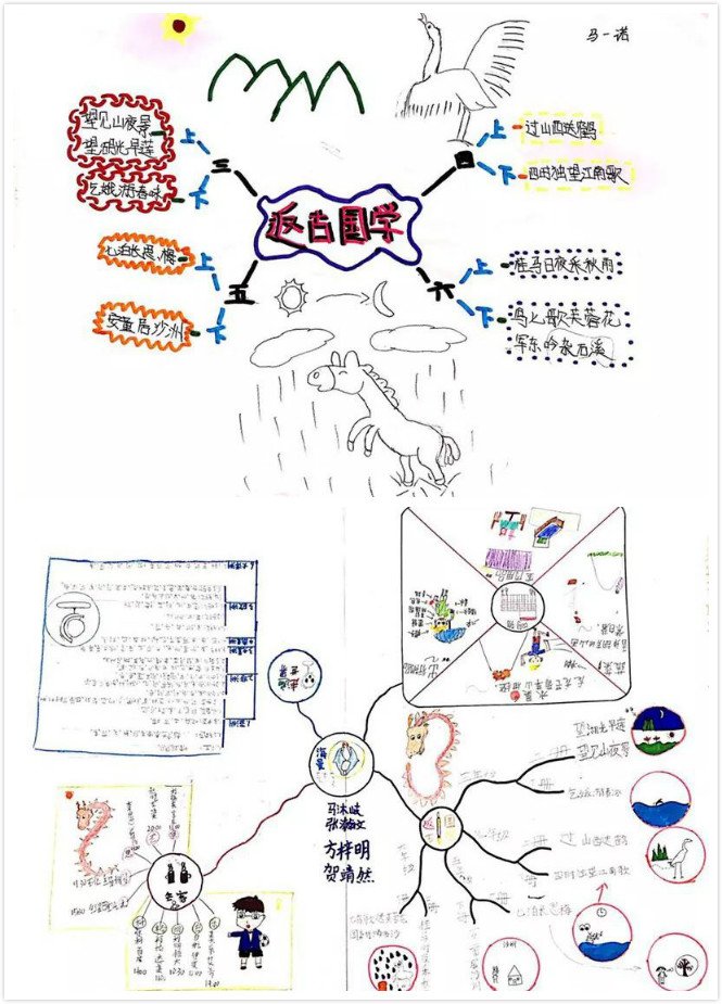 海曼教育学员思维导图作品